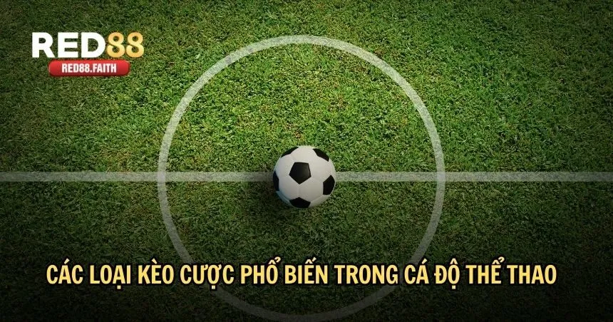 Các loại kèo cược phổ biến trong cá độ thể thao